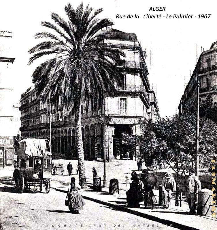 Alger - Rue de la Liberte - Palmier - 1907.jpg